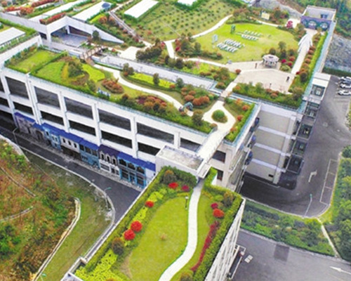 夏天應(yīng)該怎樣養(yǎng)護(hù)植物墻？