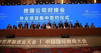 合肥“西邊小深圳”崛起 企業網站建設熱潮背后的創新動力