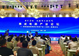 集成電路產(chǎn)業(yè)在合肥 專家智囊團成立，企業(yè)數(shù)字化建設(shè)迎新機遇